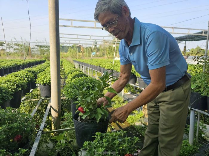 Người dân chuẩn bị hoa kiểng phục vụ Tết. Ảnh: Hòa Hội.