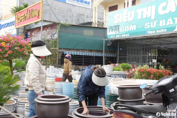 Thị trường hoa, cây cảnh bắt đầu sôi động, cùng với đó, các dịch vụ như bán chậu cảnh, vận chuyển hoa cây cảnh… “ấm” dần lên. Ảnh: T.P