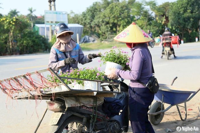 Hiện, khách mua lẻ đang ít, chủ yếu là khách sỉ, các thương lái mua đưa đi bán ở các chợ. Ảnh: T.P