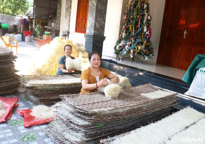 Được biết, khối Quy Chính có nghề bún bánh từ lâu đời và đã được UBND tỉnh công nhận làng nghề từ năm 2006. Hiện sản phẩm do bà con làm ra chủ yếu được thương lái đến lấy tận nhà. Bà Hoàng Thị Phương (55 tuổi) đang bó miến tại sân nhà chia sẻ: Tôi đã nghỉ làm miến một thời gian, nhưng nay gần Tết, nhiều khách gọi đặt hàng nên làm nghề trở lại. Ảnh: Huy Thư
