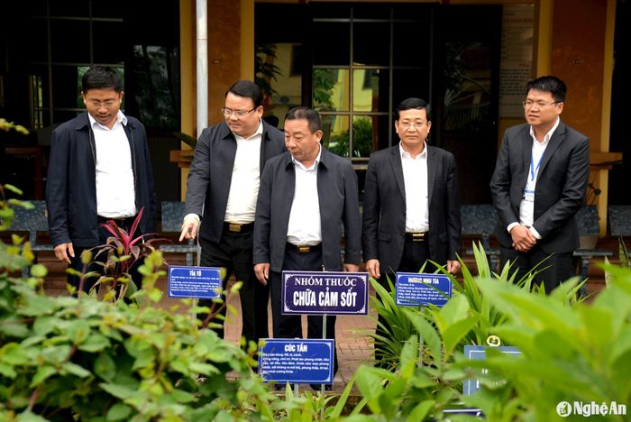 Đoàn công tác tham quan vườn cây thuốc Nam của Trạm Y tế thị trấn Nghĩa Đàn. Ảnh: Xuân Hoàng