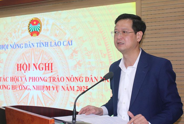 Chủ tịch Hội Nông dân tỉnh Bùi Quang Hưng thông tin kết quả hoạt động thời gian qua.
