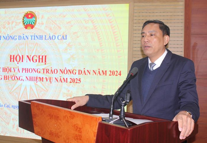 Đồng chí Hoàng Giang, Phó Bí thư Tỉnh ủy phát biểu chỉ đạo hội nghị.