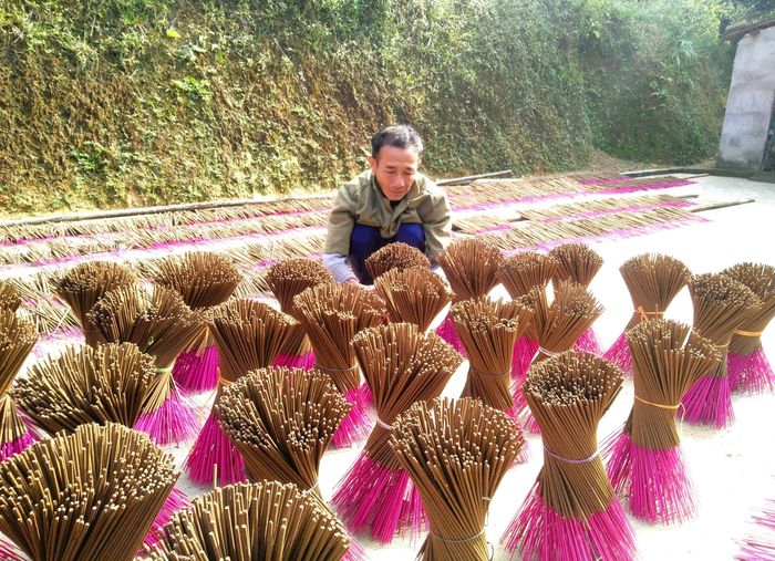 Là một trong những người thừa kế nghề làm hương của cha ông để lại, anh Lê Cảnh Hồng ở thôn 9, xã Cao Sơn luôn cố gắng phát huy và duy trì nghề truyền thống này. Để đáp ứng nhu cầu của thị trường. Những ngày này không khí làm việc tại cơ sở của gia đình anh Hồng hết sức khẩn trương để kịp hàng Tết. Hòa lẫn trong mùi hương thơm đặc trưng của rễ hương là những tiếng cười nói rộn ràng của những chị em nhân công. Ảnh: Thái Hiền