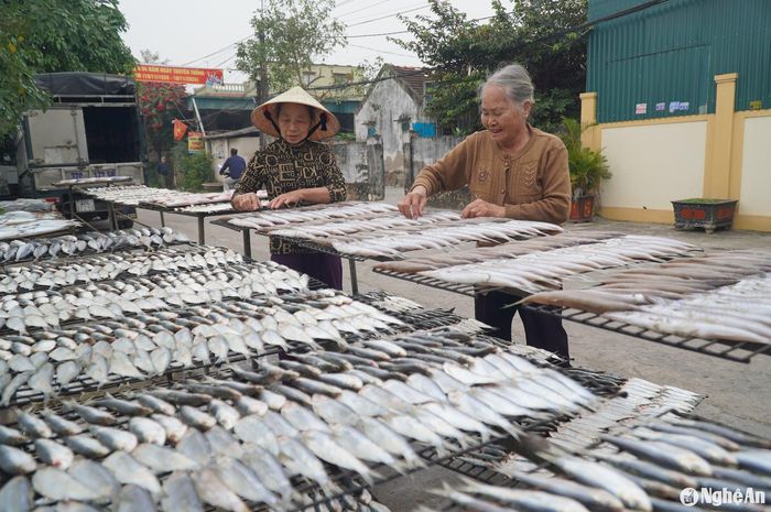 Những ngày này, các cơ sở nướng cá phục vụ Tết ở xóm Trung Hậu, xã Diễn Vạn, huyện Diễn Châu cũng làm việc hết công suất. Từ sáng đến chiều muộn, hàng chục cơ sở huy động nhân lực phân loại, rửa cá, phơi cá thật ráo rồi mới đem vào nướng. Ảnh: Mai Giang