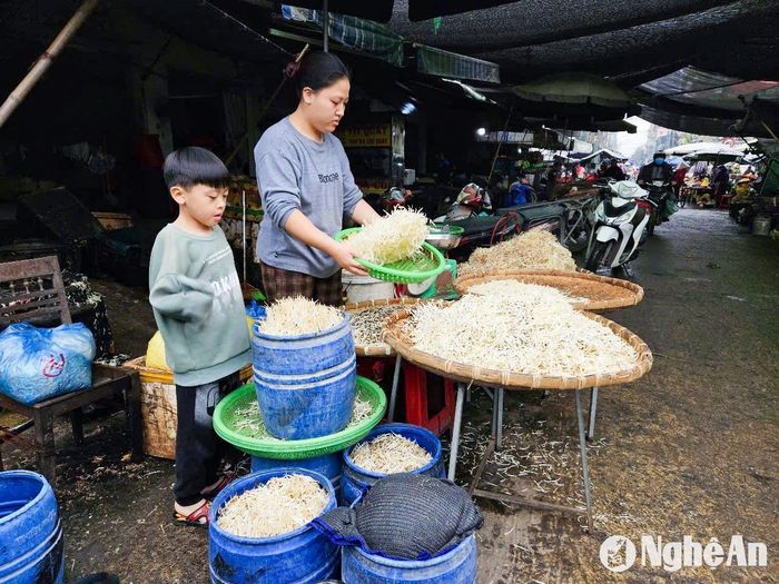 Trung bình mỗi ngày cơ sở giá đỗ của chị Liên cung ứng ra thị trường 500 kg. Ảnh: T.P
