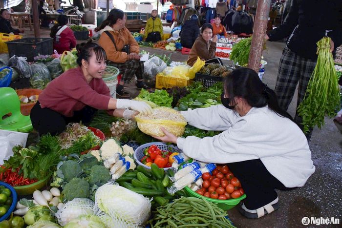 Sức tiêu thụ giá đỗ không bị ảnh hưởng bởi thông tin giá đỗ ngâm tẩm hóa chất ở Đắk Lắk. Ảnh: T.P