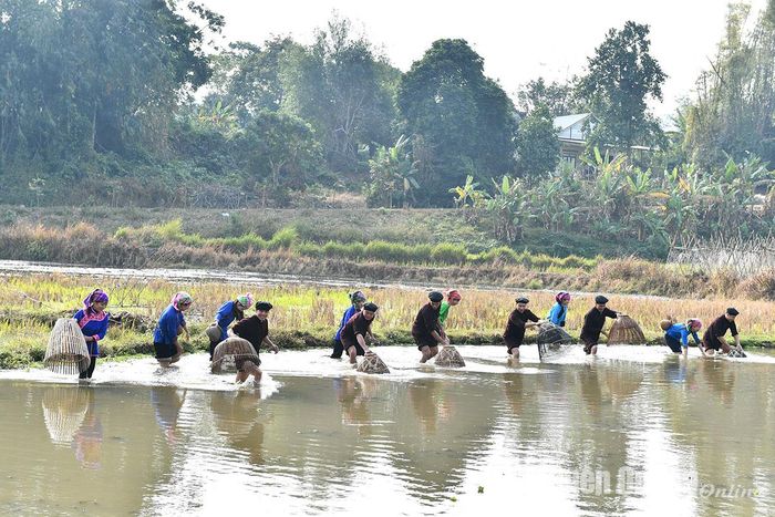 Úp nơm là một kỹ thuật nhưng cũng phụ thuộc sự may rủi.
