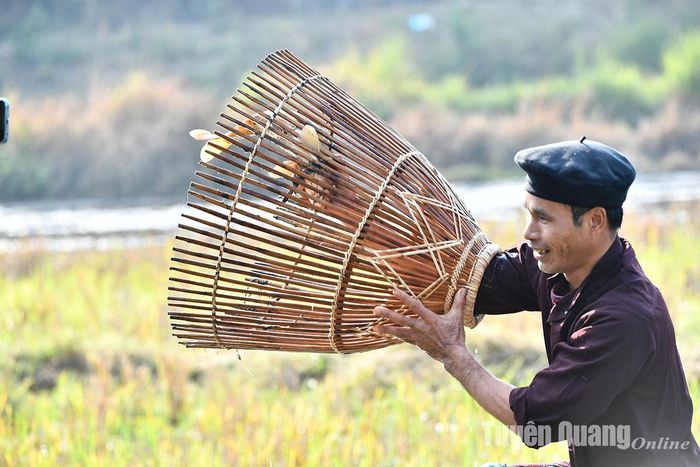Bỏ cá vào hom.