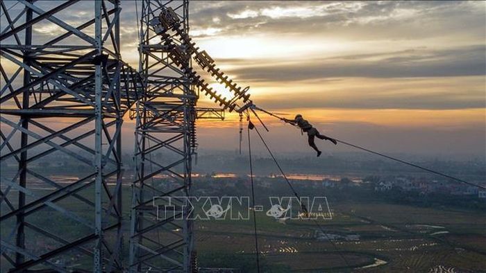 Công nhân nhà thầu Công ty CP Tư vấn đầu tư và Xây lắp Điện 5 (PCC5) thi công kéo dây trong ánh hoàng hôn tại vị trí cột 181 tuyến đường dây Nhà máy nhiệt điện Nam Định 1- Phố Nối trên địa bàn huyện Hưng Hà (Thái Bình). Ảnh: Huy Hùng/TTXVN