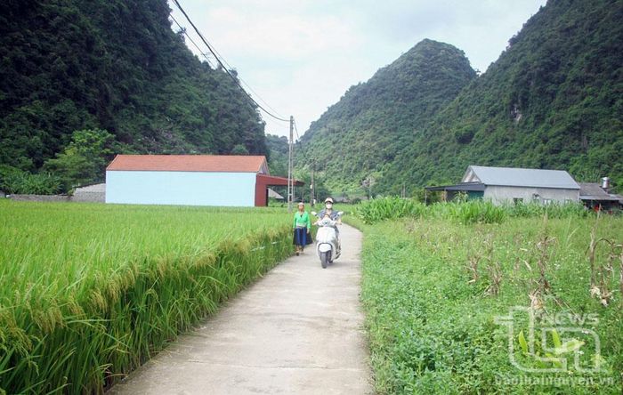 Hiện, 100% các tuyến đường từ xóm đến đến trung tâm các xã, thị trấn của huyện Võ Nhai đã được cứng hóa. Trong ảnh: Đường trục chính của xóm La Mạ, xã Lâu Thượng.