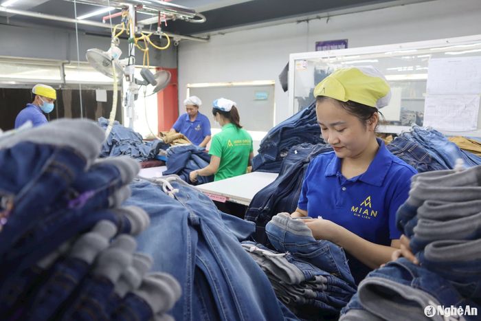 Chị Lê Thị Xuân nỗ lực trong công việc để đem lại hiệu suất cao nhất. Ảnh: Diệp Thanh