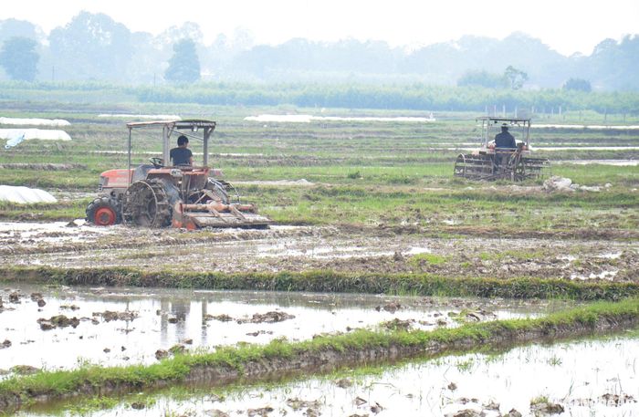 Nông dân huyện Nghĩa Đàn làm đất chuẩn bị gieo cấy lúa vụ xuân. Ảnh: Xuân Hoàng