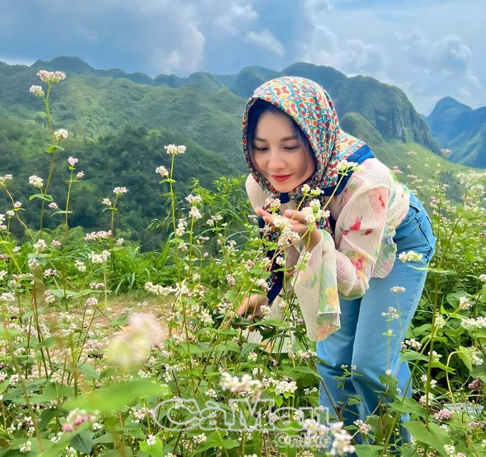 Du khách check in với hoa tam giác mạch.