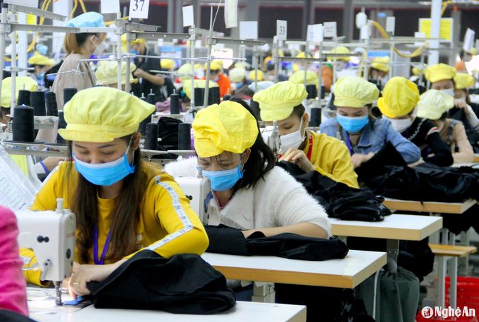 Nhà máy Minh Anh Tân Kỳ tạo việc làm cho hàng nghìn lao động. Ảnh: Quang An