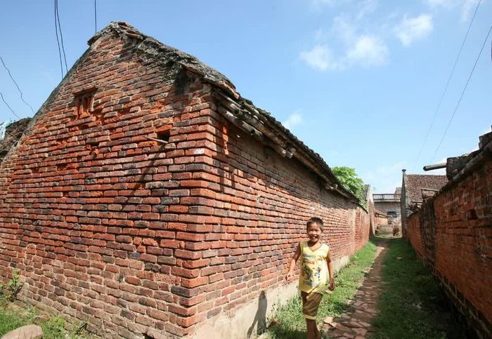 Cậu bé trong ảnh này giờ chắc đã lớn lắm rồi
