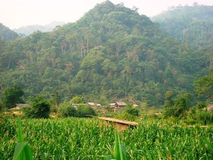 Ảnh minh họa: Internet