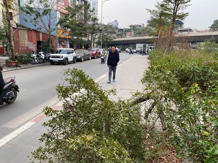 Vườn hoa khu vực ngã ba phố Đại La và Giải Phóng xuống cấp nghiêm trọng chưa được khắc phục. Ảnh: Trường Phong.