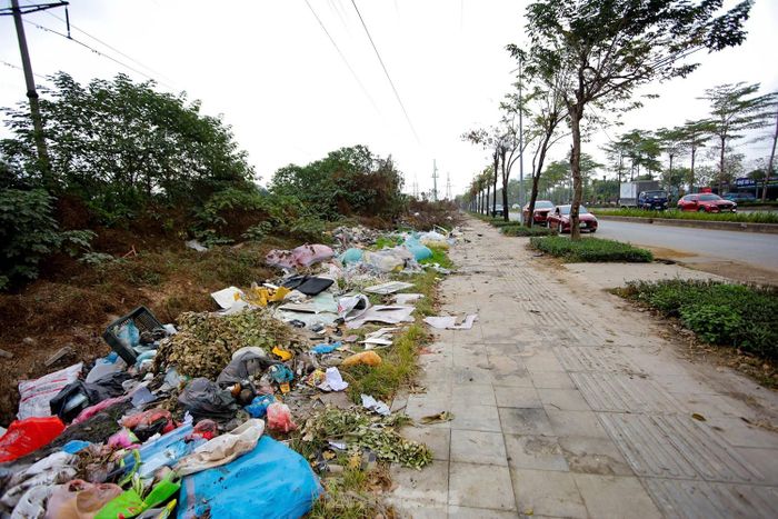 Rác thải tập kết nhiều năm ven đường Phạm Tu (Hà Nội). Ảnh: Trọng Tài.