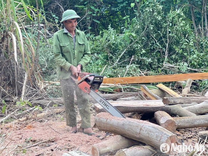 Việc cắt, xẻ củi thành những đoạn ngắn được tiến hành ngay bên đường. Ảnh: Tiến Đông