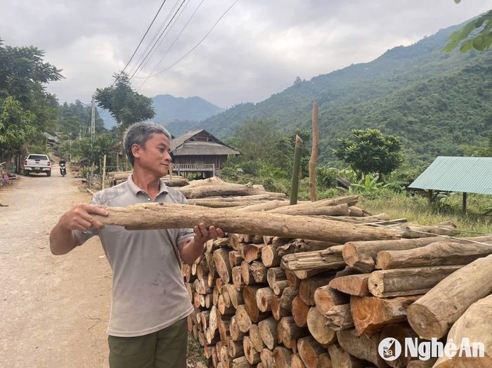 Vớt "lộc trời" trở thành nghề hái ra tiền đối với người dân nơi thượng nguồn Nậm Nơn. Ảnh: Tiến Đông