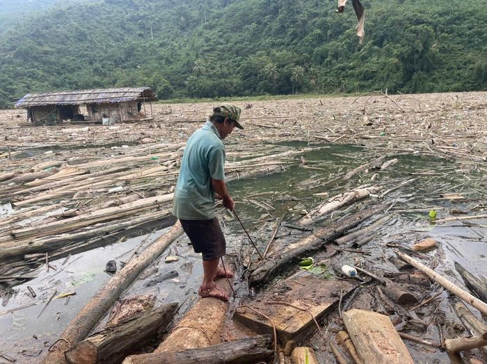 Kéo củi về bờ. Ảnh: Tiến Đông