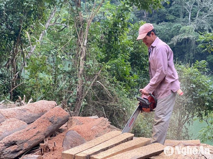 Gỗ tạp, củi được cắt thành những phần đều nhau. Ảnh: Tiến Đông