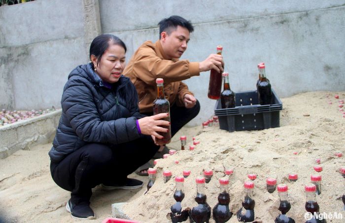 Bà Lê Thị Kimm ở phường Nghi Hải, TP. Vinh cho biết: Để có được sản phẩm nước mắm hạ thổ dùng trong ngày Tết, ngay từ đầu năm, chúng tôi phải chọn loại nước mắm ngon nhất, đóng vào chai kín, sau đó đem chôn xuống đất cát. Do vậy, những ngày giáp Tết chính là thời điểm người dân làng nghề Hải Giang 1 tiêu thụ nước mắm hạ thổ, đồng thời, cũng chuẩn bị cho một mùa vụ mới cho Tết năm sau. Ảnh: Q.A