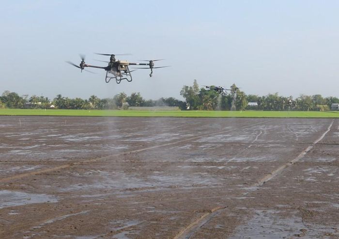 Nông dân Hậu Giang sử dụng thiết bị bay không người lái trong mô hình trồng lúa phát thải thấp.