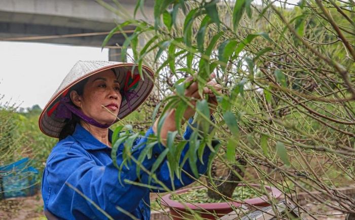  Ảnh minh họa INT. 