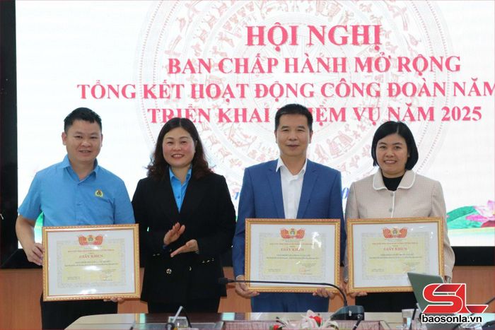 Lãnh đạo Công đoàn ngành Y tế tặng giấy khen cho các tập thể.