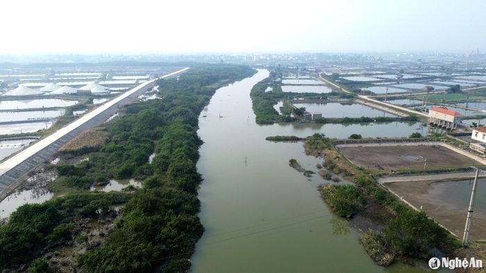Lâu nay nguồn nước của sông Mai Giang được người nuôi tôm lấy vào ao đầm để nuôi tôm. Người dân nhận định, do nguồn nước của sông Mai Giang bị ô nhiễm nên tôm nuôi thường nhiễm dịch bệnh. Ảnh: XH