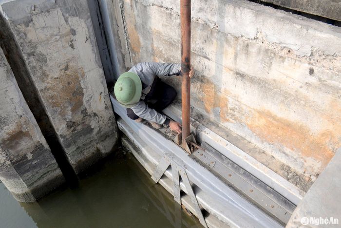 Cống cấp nước có 2 phai, trong đó 1 phai đã hư hỏng đang được tháo dỡ để sửa chữa, 1 phai còn lại cũng đang tình trạng nứt nẻ múi hàn, không thể kéo lên được. Ảnh: XH