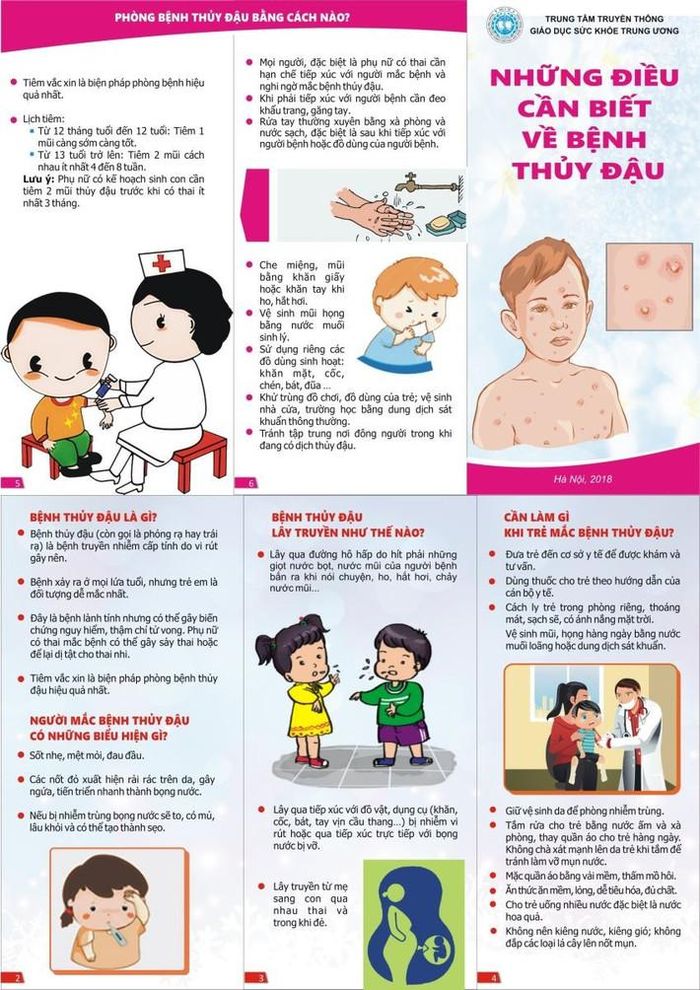  Tờ rơi tuyên truyền phòng chống thủy đậu của CDC Bến Tre 