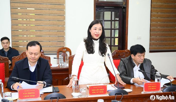 Đồng chí Nguyễn Thị Quỳnh Hoa - Ủy viên BCH Đảng bộ tỉnh, Chủ tịch Hội Liên hiệp Phụ nữ tỉnh phát biểu ý kiến tại cuộc làm việc. Ảnh: Thành Cường