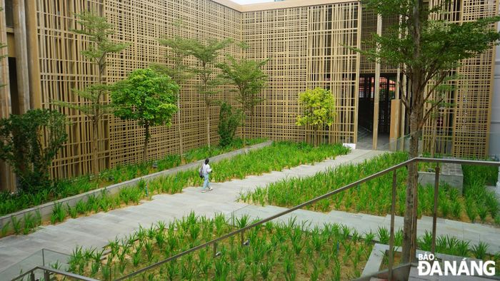 Không gian cảnh quan sân vườn tại tầng 1 và không gian sân giữa của bảo tàng được kết nối, tạo nên tuyến trải nghiệm nhẹ nhàng, ấn tượng với du khách.