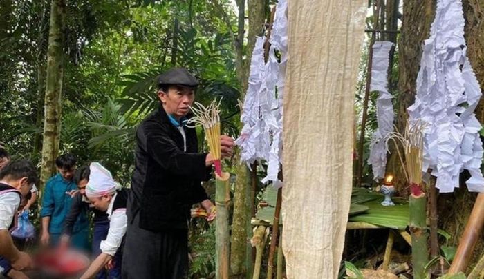  Thầy Mo thực hiện nghi lễ cúng rừng. 
