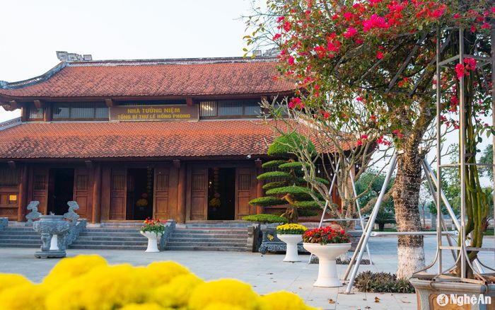 Nhiều chậu hoa, cây cảnh đã được thay mới. Ảnh: Minh Quân