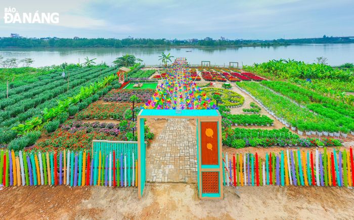 Mô hình check-in tạo điểm nhấn không gian xanh - sạch - đẹp cho vùng đất bồi ven sông Cẩm Lệ. Không chỉ cải tạo môi trường, việc đưa vào sử dụng mô hình còn góp phần mở rộng thêm không gian vui chơi giải trí cho nhân dân địa phương. 