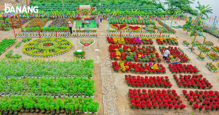 Hoạt động xây dựng mô hình nhận được sự hưởng ứng, tham gia nhiệt tình của các hội viên nông dân. Ngoài hưởng ứng tham gia ủng hộ kinh phí, các hội viên cũng chung tay ủng hộ ngày công để tạo tác nên khu vườn check-in Cẩm Lệ xanh. 