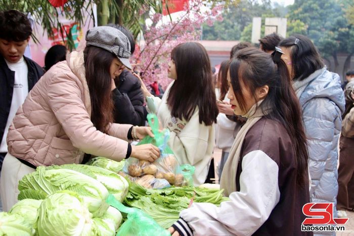Gian hàng nông sản tại hội chợ.