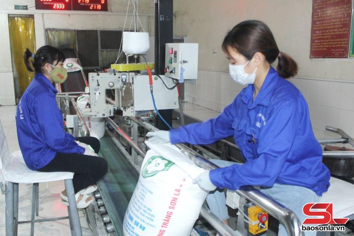 Công nhân Nhà máy mía đường Sơn La trong ca sản xuất.
