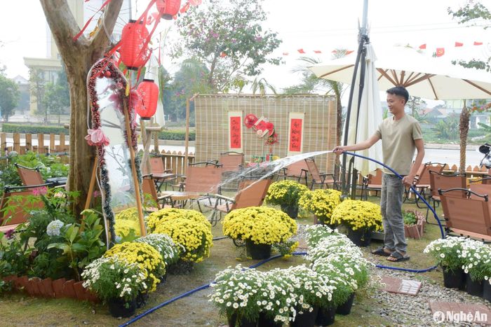 Một góc sân vườn đậm sắc Xuân. Ảnh: T.P