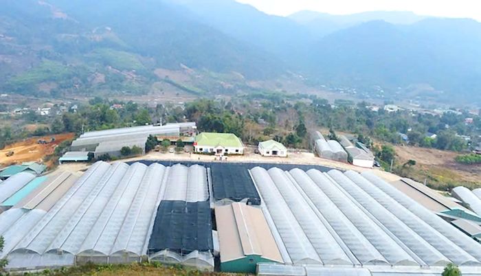 5 nhà máy, viện giống và các vùng nguyên liệu của Nafoods Group đứng chân trên nhiều địa bàn miền núi trọng điểm trên toàn quốc. Ảnh: CSCC