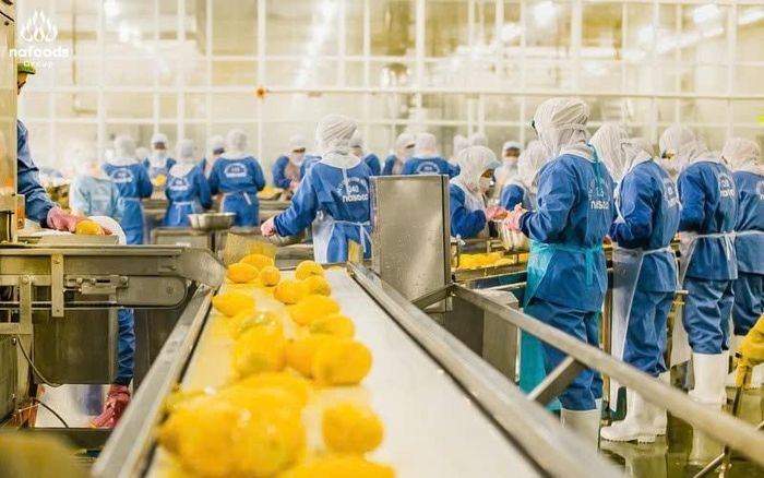 Nafoods Group đã hoàn thiện chuỗi giá trị khép kín cho các sản phẩm của mình. Ảnh: CSCC