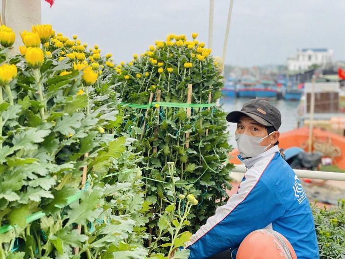 Các chậu hoa cúc chưng Tết được người dân vận chuyển và sắp xếp lên boong tàu.