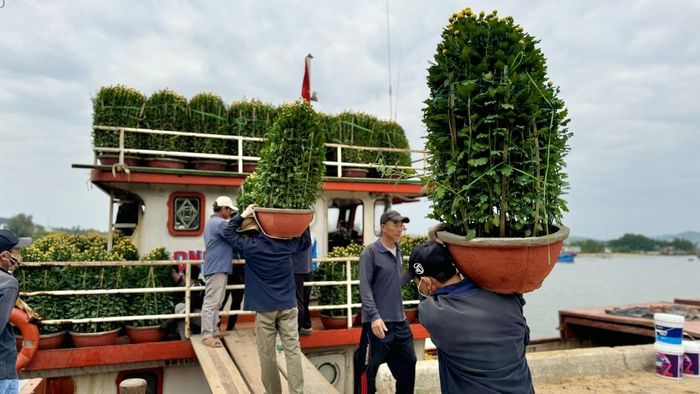 Các công nhân liên tục bốc, xếp hàng hóa lên tàu. Không khí những ngày giáp Tết thêm phần rộn ràng.