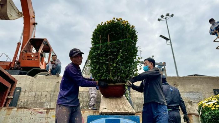 Lãnh đạo Ban Quản lý (BQL) cảng Sa Kỳ cho biết, trong những ngày cao điểm của dịp Tết, BQL cảng cũng đã bố trí từ 6 - 12 chuyến tàu ra vào liên tục. Đồng thời, tùy theo nhu cầu của người dân, BQL cũng sẽ linh động bố trí tàu để người dân về nhà ăn Tết.