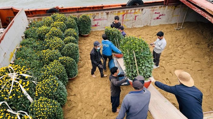 Những ngày cận Tết Nguyên đán Ất Tỵ 2025, những chuyến tàu vận tải hàng hóa tuyến Sa Kỳ - Lý Sơn liên tục hoạt động với hơn 200 tấn hàng mỗi ngày.