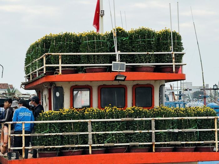 Sắc Xuân ngập tràn trên những chuyến tàu chở hàng ra đảo Lý Sơn.